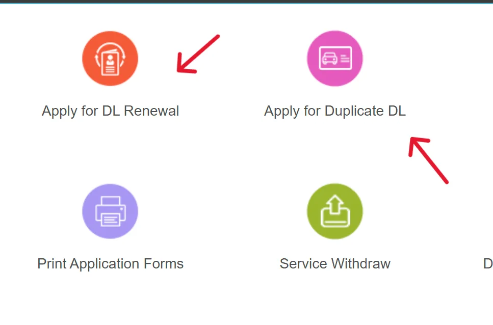 DL Renewal